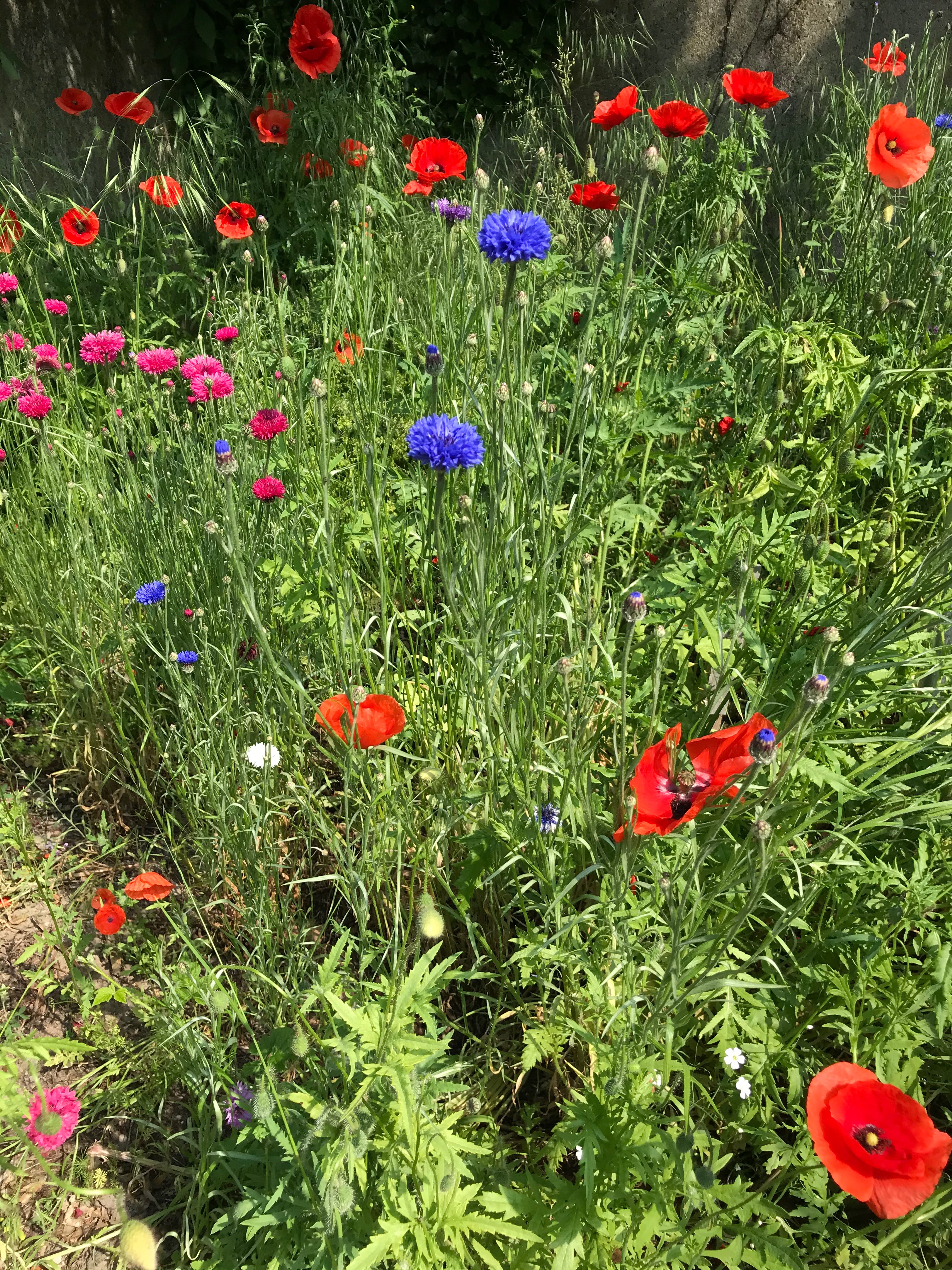 Uhrentausch in einem modernen Museumsbau